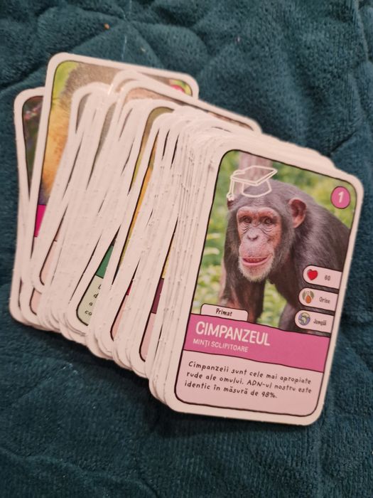 cartonase expeditie in jurul lumii 2 in sector 5