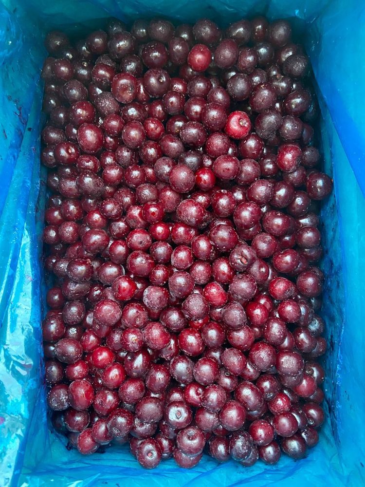 Вишня замороженное