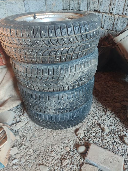 Кыскы донгелек 14 Кама