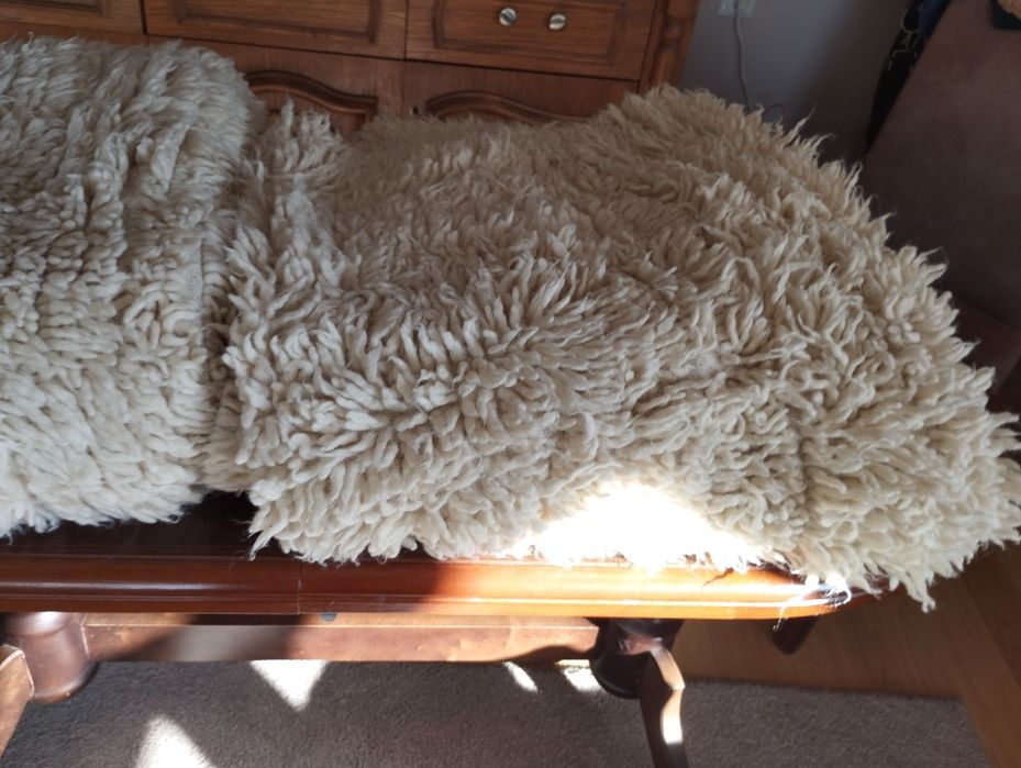 Продавам китеници  2 броя по 60 лева бройката.