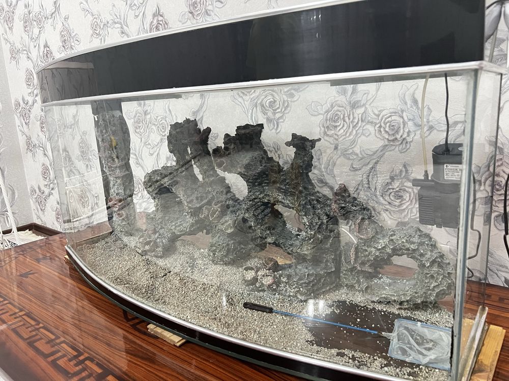 Аквариум большой