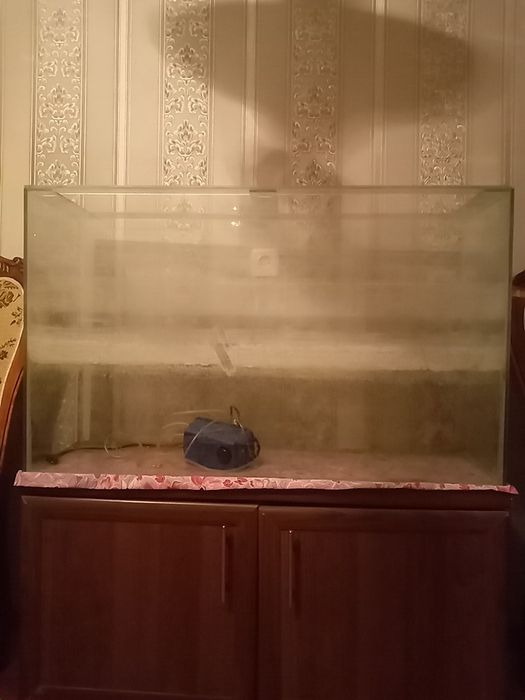 Аквариум город тараз