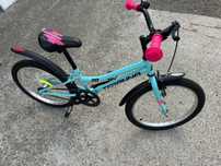 Bicicleta teranna