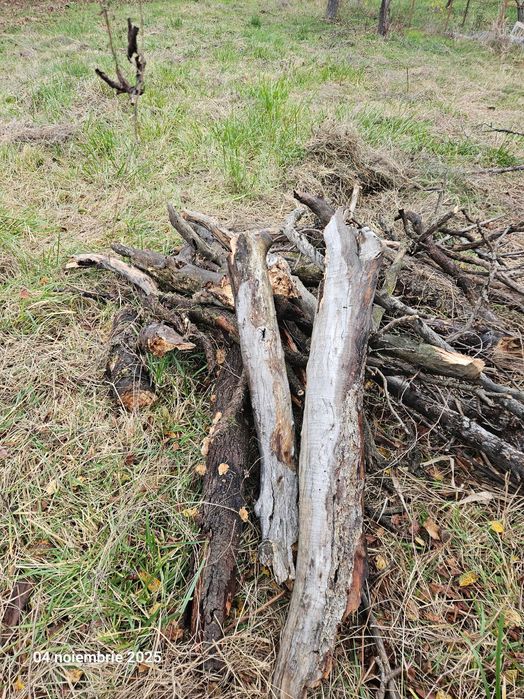 Vând lemne uscate Domnești Arges. Sunt cam trei metri steri.