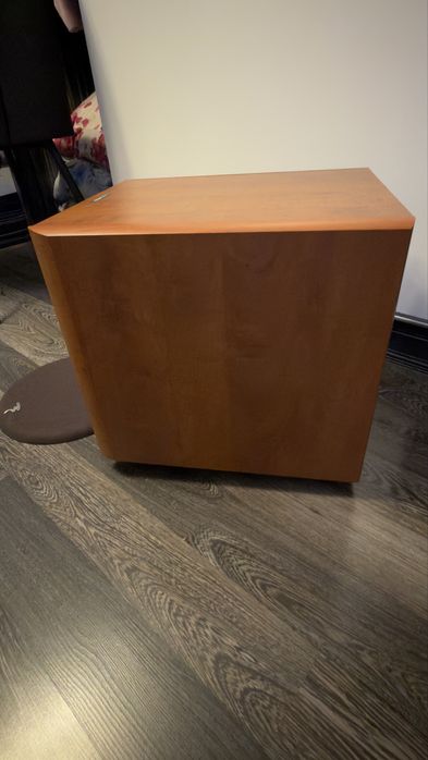 Focal 10 inch subwoofer