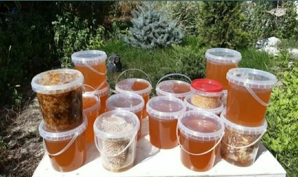 Мёд, пыльца прополис