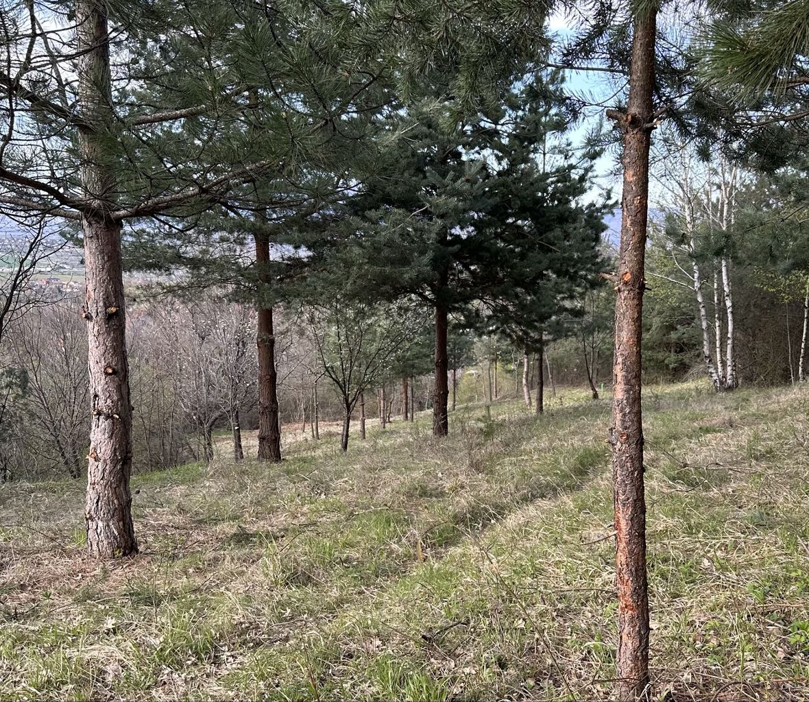 Продава се Парцел в с. Грамаждано, Област Кюстендил - 1311 кв.м за 3 €/кв.м - Снимка #1