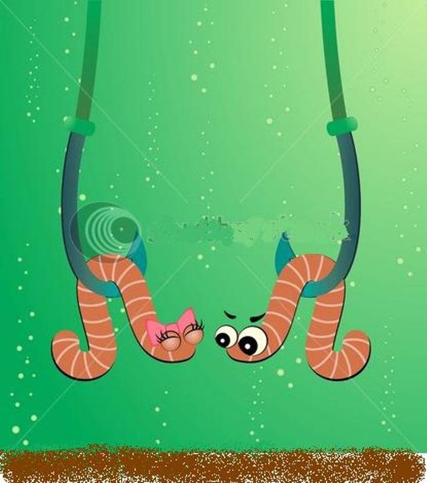 Черви 1 червяк 10 тг