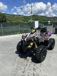 CAN AM Renegade 1000