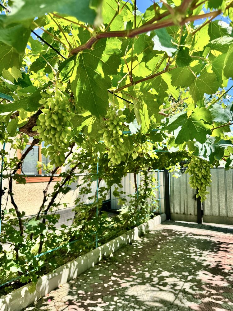 Продается Дом в районе сахарного завода