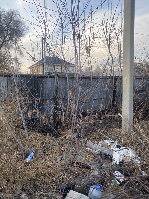 Дрова ( отын) тегін