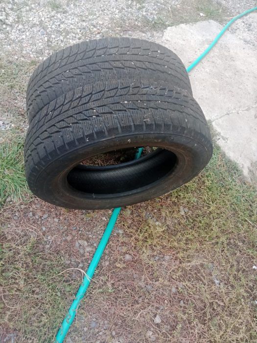 Продам зимние шины Triangle 2шт