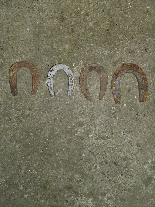 Vând potoavele lui Marian Țiganu