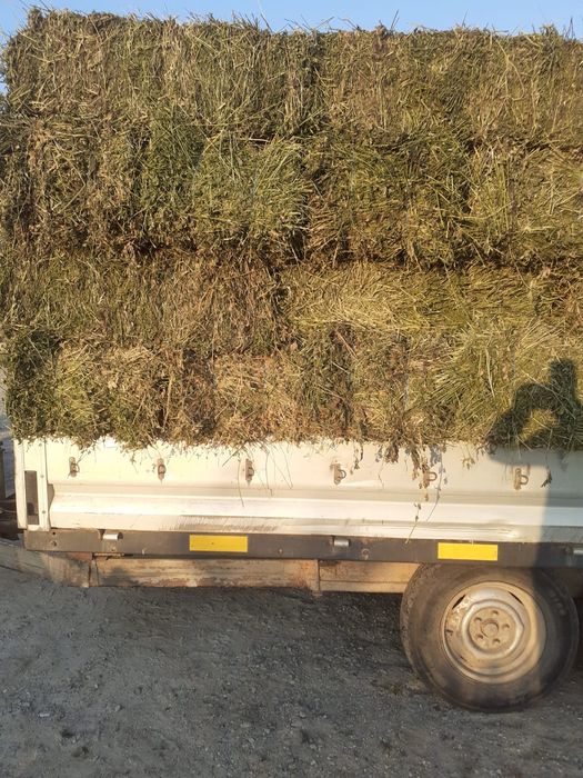 Baloți lucerna și otava