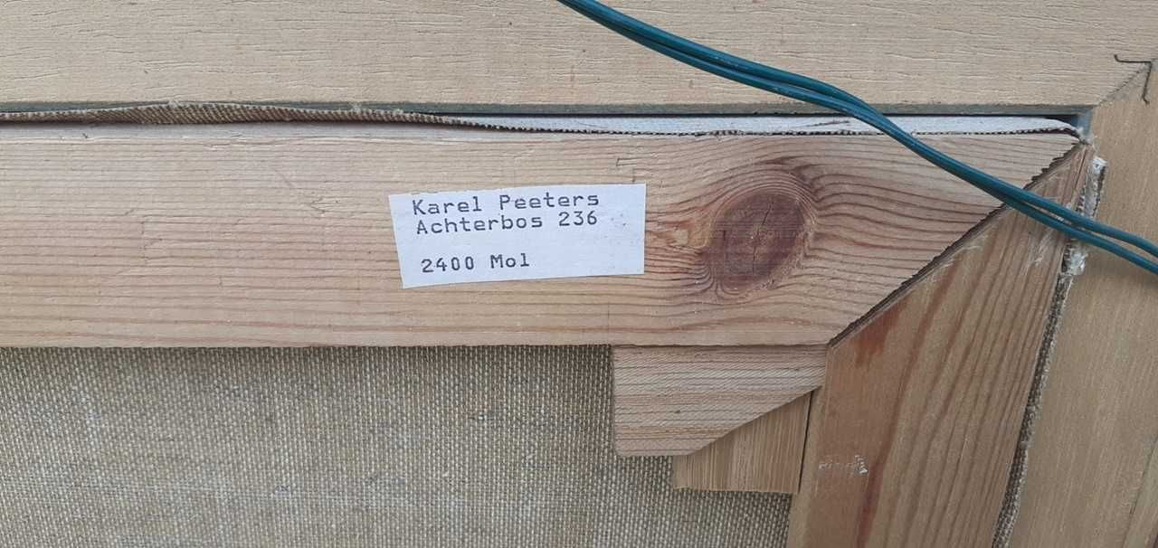 Tablou vechi - la un pahar de vin - semnat K. Peeters