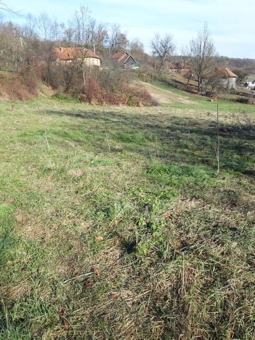 Vand teren intravilan Leasa (Halmagiu)