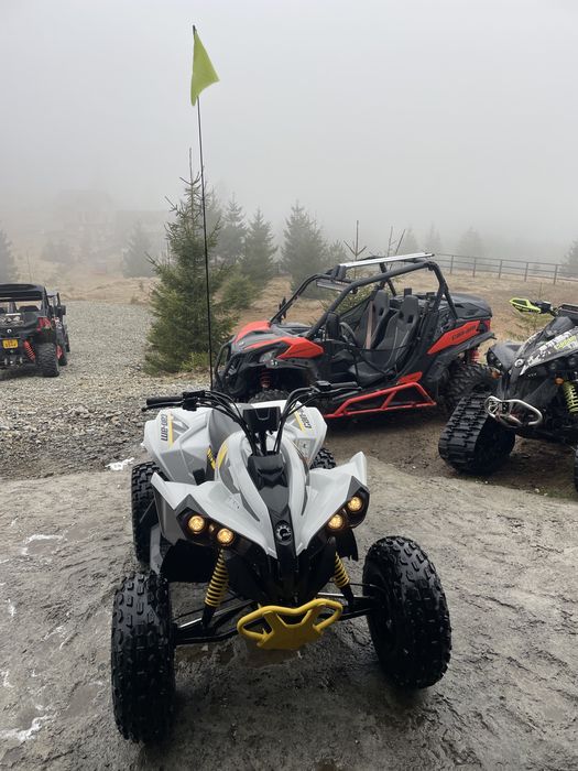 Can Am Renegade 110