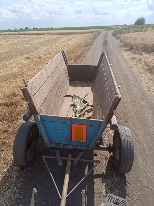 Caruță cu proțap pentru tractorașe.