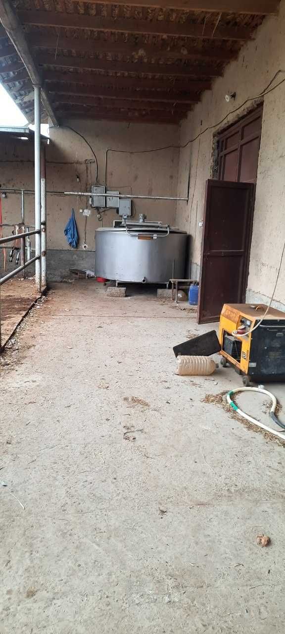 Bulung`ur tumanida ferma binosi bolib tolash sharti asosida sotilmoqda