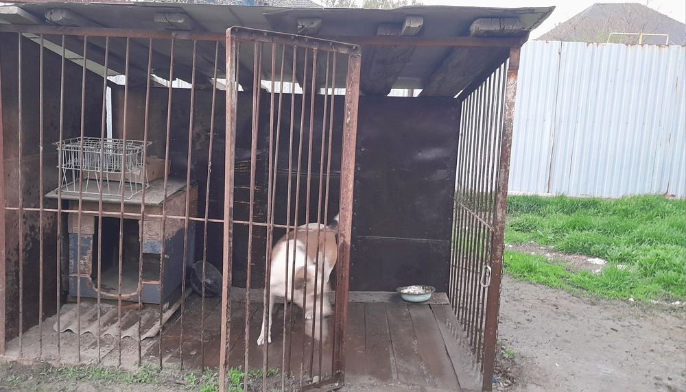 Вольер новый, большой