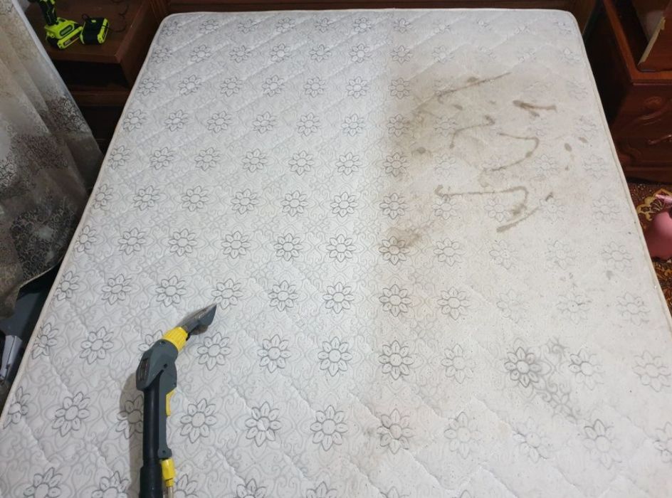 Ximchistka yumshoq mebellar va gilamlar