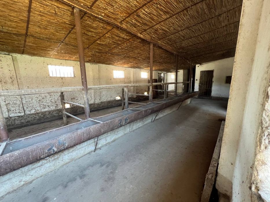 Продается дом (ферма) 12 соток