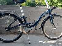 Pliabila Dahon 24