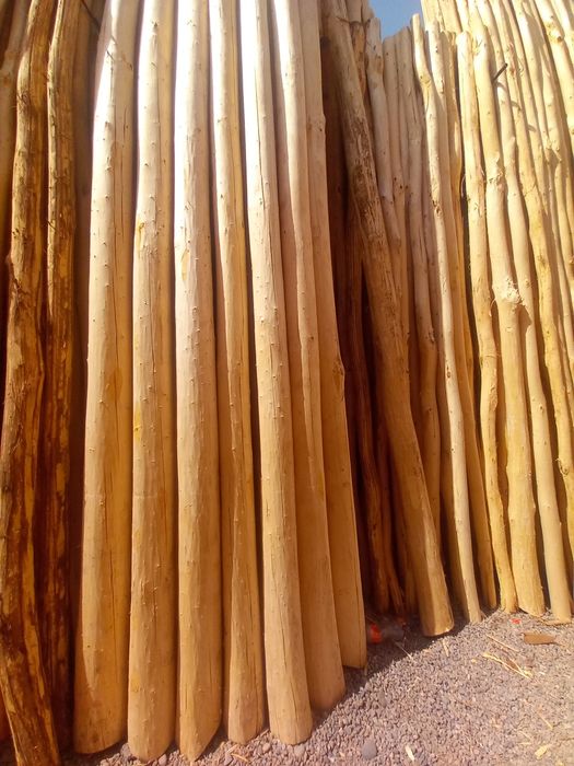 Арзон тераклар бор