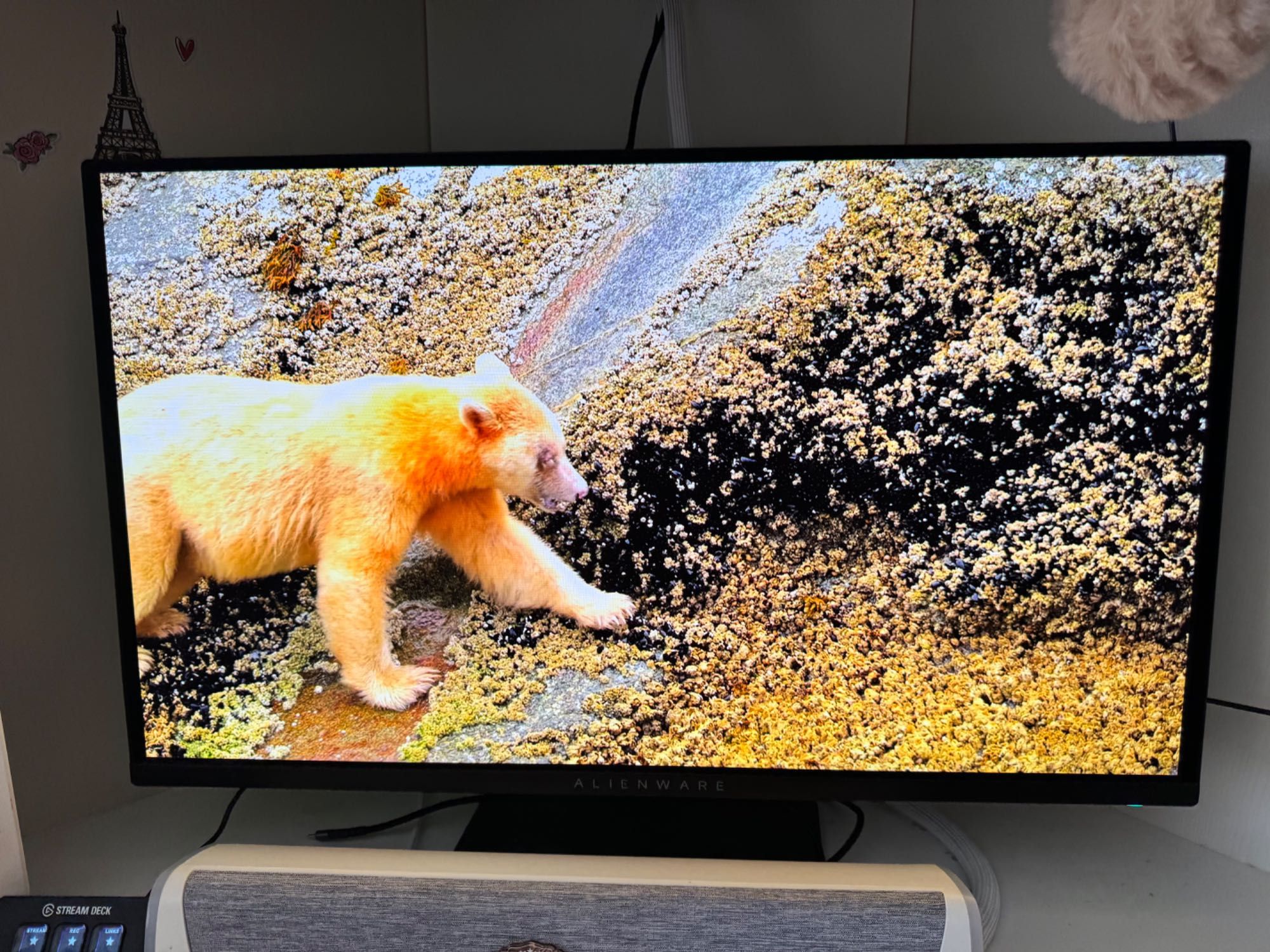 Gaming Монитор Dell Alienware QD-OLED AW2725DF, 27' inch 2K 360Hz