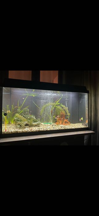 Acvariu 110L complet echipat + accesorii (gata de utilizare)