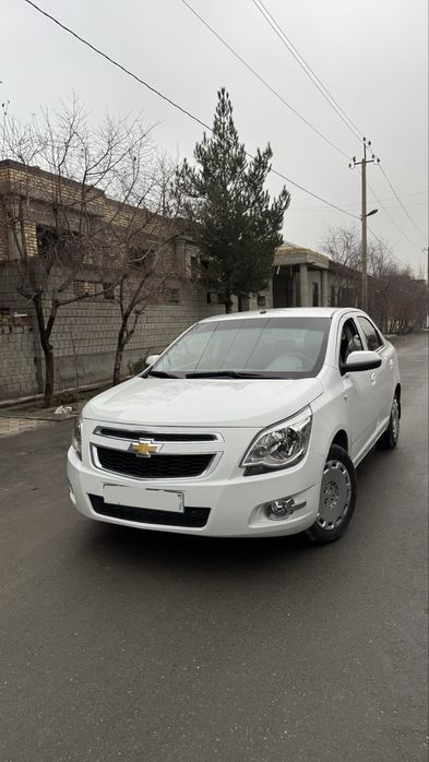 Coblt 2014  2 pazitsa