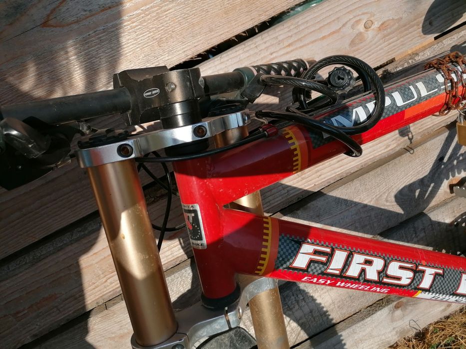 Impulse XT first bike