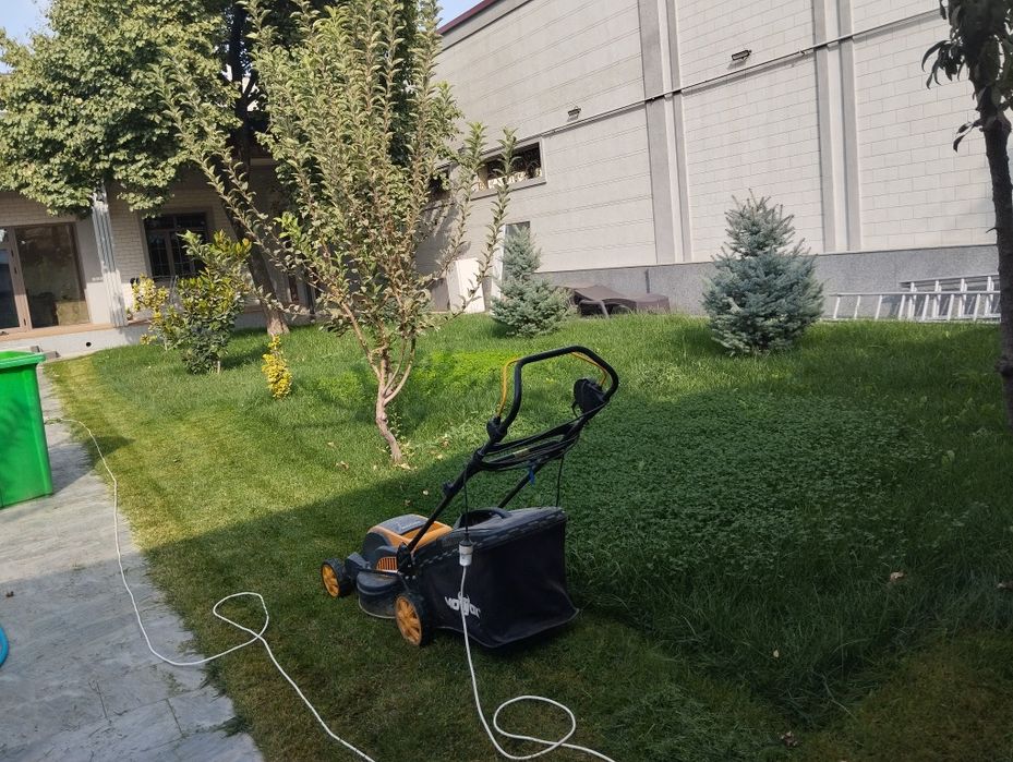 Darahit kisish butalash Binzapilada boğbonchilik hizmati
