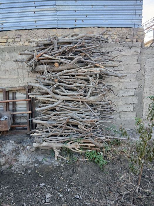 Qish fasli uchun tarosha