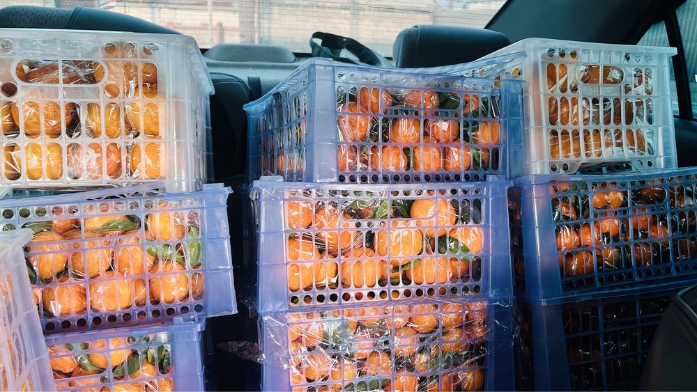 Мандарин высший сорт