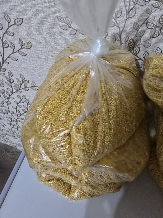 Тары талқан ауылдан