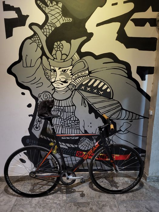 Фикс Skream Anodiz 22