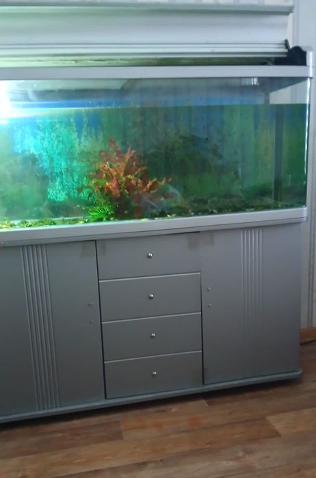 Продам аквариум.