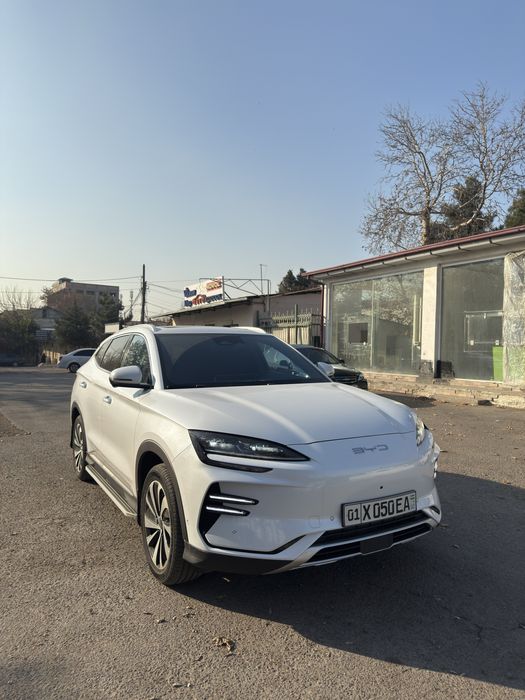 Byd Chempion 605 Full 2023