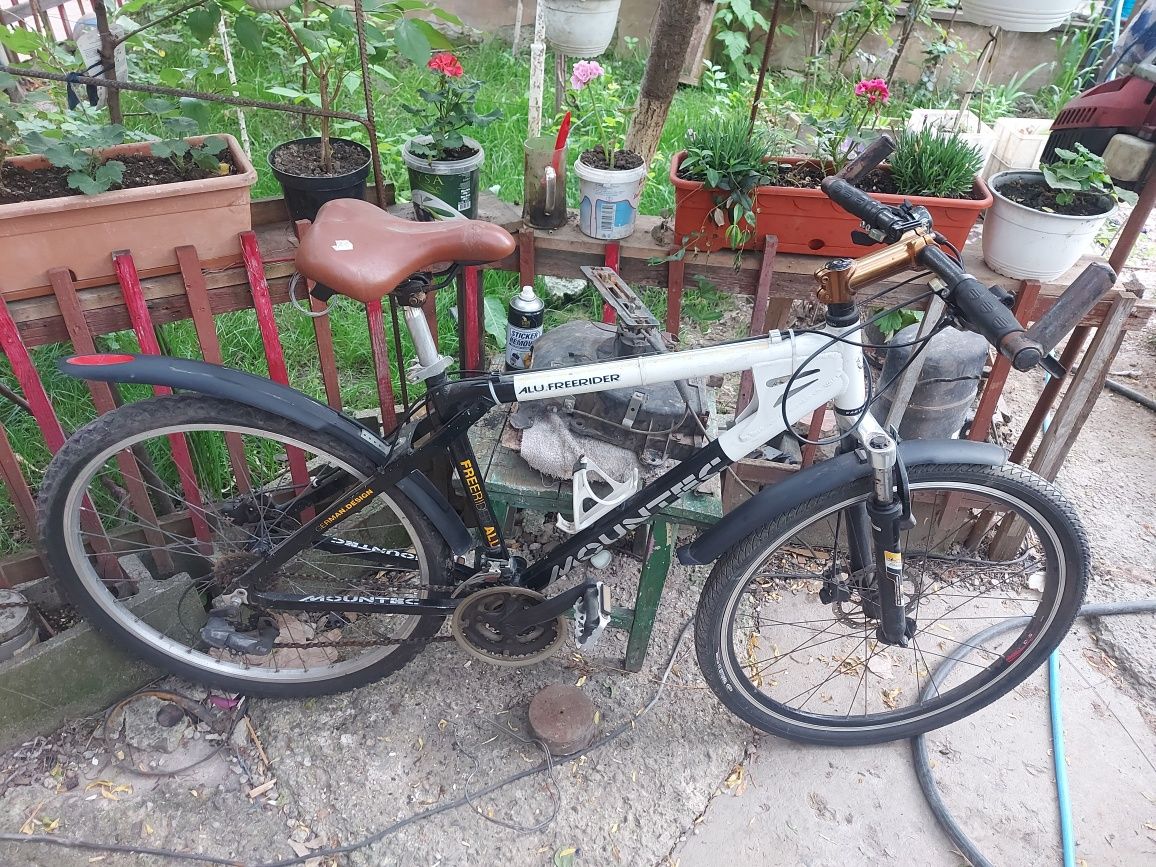 Biciclete  adulti  29"