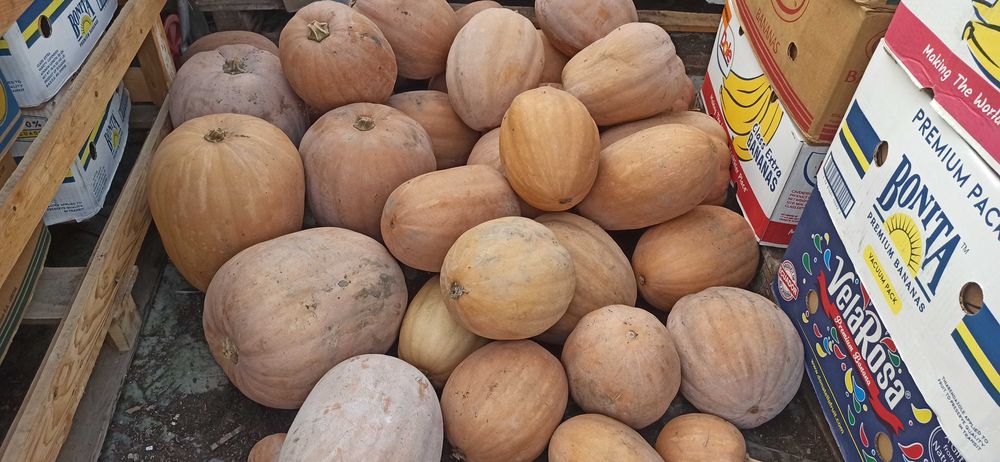 Тивки за консумация