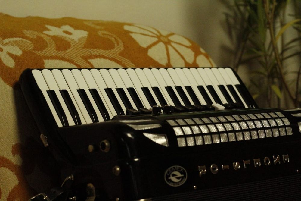 Vand Acordeon Excelsior 2/2 profesional