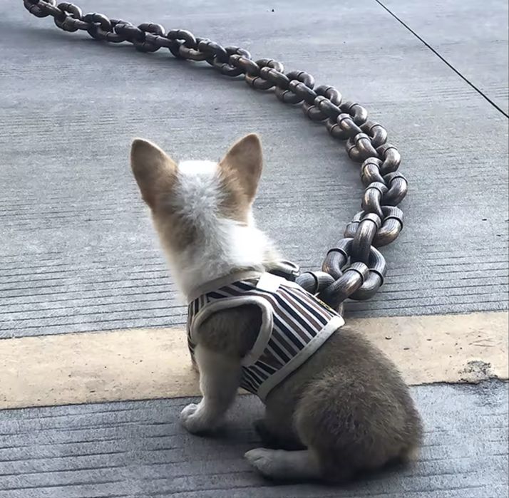 Забавен повод - верига