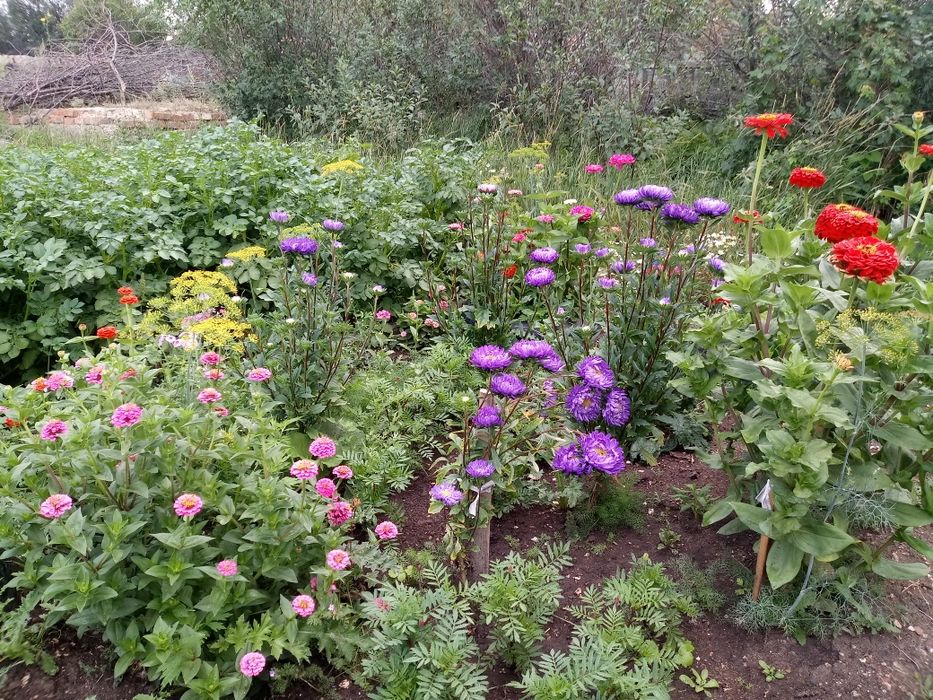 Продам дачу по Зерендинской трассе