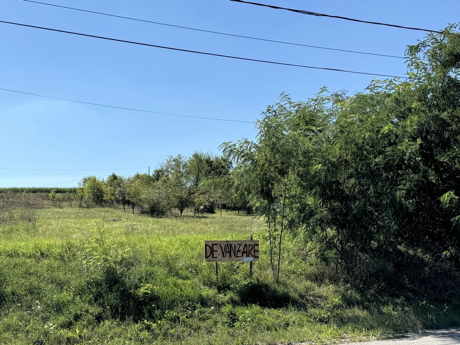 Teren de vanzare  Ceuasu de Campie