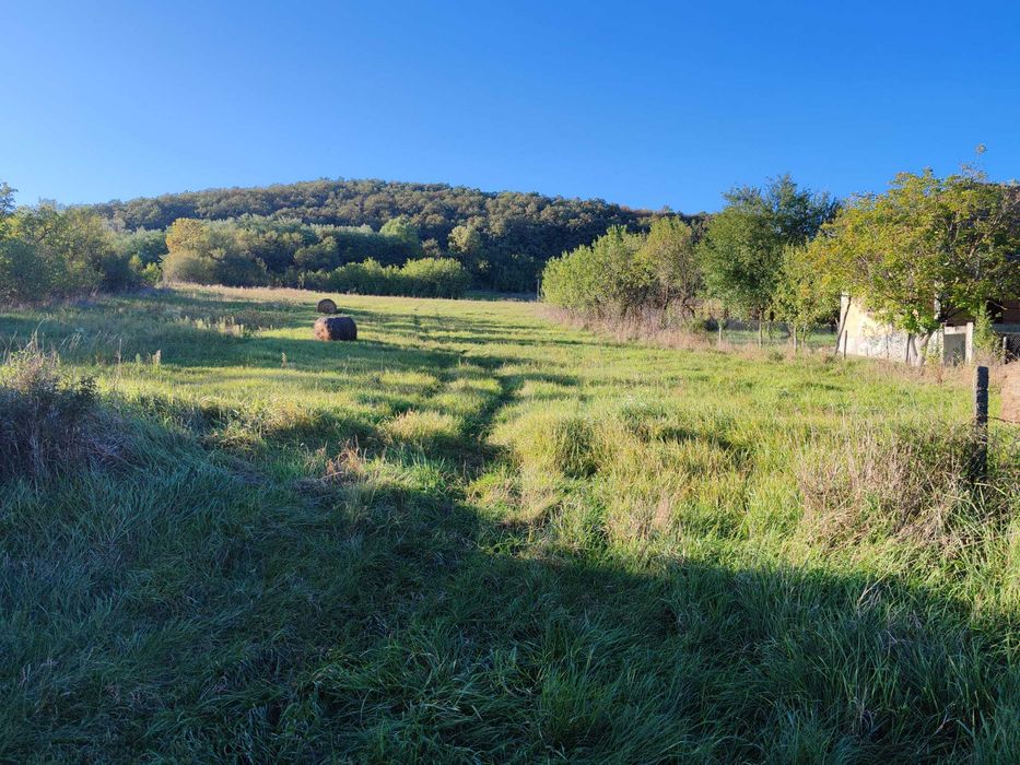 Vând teren 3013 mp,  intravilan - Mihăiești jud. Cluj