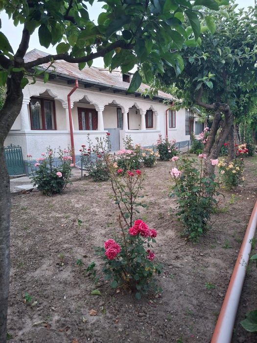 Casa si teren 3678mp de vanzare in Urlati, PH