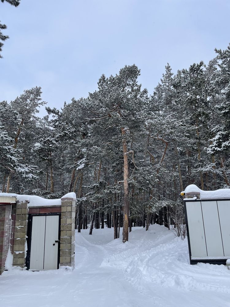 Дом Боровое аренда посуточно