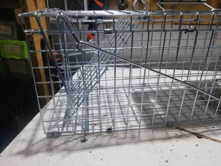 Capcana animale dăunătoare (dihori, șobolani, veverițe, pisici)