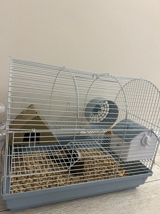Продам Хомяков с 2-ух этажной клеткой